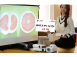 LG전자, LED프로젝터 5년 연속 세계 1위