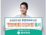 동부화재, 실손보험 공백 메우는 한방보험 출시