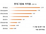 롯데 계열사주, 중국 사드 보복에 줄줄이 약세