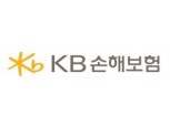 KB금융지주, "KB손보 완전자회사 추진 아냐"