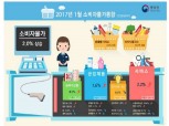 장바구니 물가 고공비행 1월 소비자물가 2.0% 상승