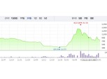거래정지 한진해운…개미투자자, 대규모 손실 불가피