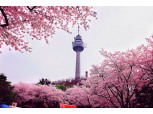 이랜드 이월드, 25일부터 ‘별빛 벚꽃축제’ 개최 