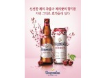 오비맥주, 봄 한정판 ‘호가든 체리’ 출시