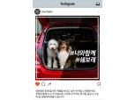 쉐보레 인스타그램 오픈, 온라인 소통 확대