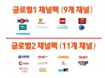 SKB “월 1000원 추가로 Btv서 글로벌 콘텐츠 즐긴다”