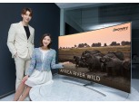 삼성 스마트TV, 디스커버리 다큐멘터리 UHD로 즐긴다