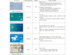 [맞춤형 카드시대③] 항공권 구입 도움주는 '마일리지' 적립 카드