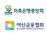 금감원장 2연속 낙마에 2금융권 협회 부회장 공석 장기화