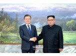 폼에이오-김영철, 30일 북미정상회담 관련 논의