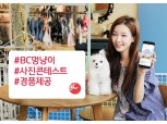 BC카드, 반려인 대상 경품·캐시백 이벤트