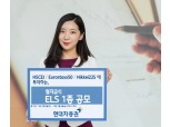 현대차증권, 최대 연 5.01% 수익 월지급식 ELS 공모
