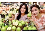 홈플러스, 여름 ‘썸머킹’ 초록사과 단독 판매