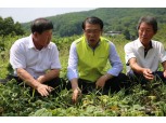 NH농협생명 서기봉 사장, 폭염 피해 지원 위한 피해 농가 방문