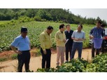 김광수 농협금융 회장, 휴가 중 폭염 피해농가 방문