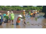 SK이노베이션, 베트남 맹그로브숲 복원을 위한 봉사활동