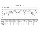 한경연 "11월 BSI 전월비 6.9p↓…올해 최대폭 하락"