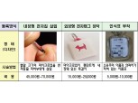 서울시 반려견 ‘내장형 마이크로칩’ 등록…유실·유기 걱정 없앤다