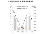 브라질 국채 금리 향후 9% 내외 등락..연금개혁 기대 현실화할수록 헤알 강세 보일 것 - KB證