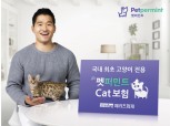 메리츠화재, 업계 최초 고양이 전용 장기 반려동물 의료보험 출시