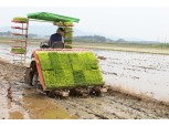 CJ프레시웨이, 쌀 농가 위해 계약재배 확대...올해 4만5000톤 수매