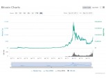 비트코인 8300$선 근접…“5개월새 두배 껑충 단기 조정 불가피”(상보)
