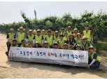 NH농협손보 마케팅부문 임직원, 농촌 일손돕기 구슬땀