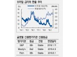 브라질 향후 50~100bp 추가인하할 듯..헤알화 채권 강세 지속 예상 - NH證