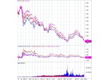 채권금리들, 사상 최저레벨 눈독..'과도하다' VS '레벨 의미 없다'