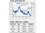 브라질 연금개혁안 하원 2차 표결 압도적으로 통과..채권 강세 이어갈 듯 - NH투자證