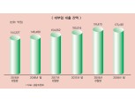 2019 대부업 진단 (1) MS 1위 산와대부, 국내 대부업 흥망성쇠 표본 척도