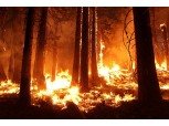 [보험 호기심 천국] 세계 역사에 남은 재난 ‘런던 대화재’가 ‘최초의 화재보험’을 낳았다?