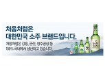 "처음처럼, 일본 소주 아니다"...롯데주류, 허위사실유포 법적대응