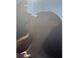 설리 부검, 국과수 "극단적 선택 의견...타살 혐의점 없음"