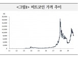 비트코인, 안전자산으로의 위상 확충엔 한계 있어 - 국금센터