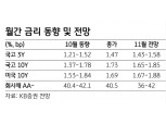 11월 국채시장 조정장세 지속..금통위 의사록, 미중 회담 성사 여부 주시 - KB證