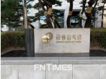 금감원, 2019년도 사업보고서 21개 항목 점검