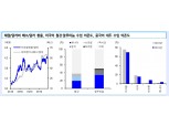 트럼프의 브라질, 아르헨 철강/알루미늄 관세부과..헤알화 등 절하 막기 위한 것 - 신금투