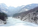 [Travel Essay] 높이 올라 좋고, 오래 걸어 좋은 겨울 숲길을 찾아서