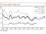 DLF 대책 수정은 크레딧물 투자심리 개선의 전환점..1월 대비한 분할매수 - 신금투