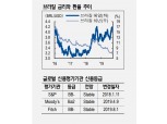 브라질 마지막 금리 인하, 헤알화보다 달러가 나아 - NH證