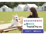 메리츠화재, 나홀로 성장 비결은 데이터 기반 전략 수립