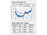 브라질, 추가 금리인하 모색하는 가운데 헤알화도 추가 약세 예상 - NH證