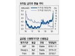 브라질, 환율안정보다 경기부양 모색..헤알화 약세 부담 지속될 것 - NH證
