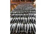 이마트, 29일까지 국산 참다랑어회 360g 1팩 1만5800원에 판매