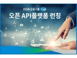 DGB금융, 내달 1일 그룹 계열사 공동 구축한 오픈 API 플랫폼 런칭