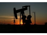 [특징주] 국제유가 폭등에 정유·석유화학주株 상승세