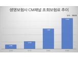 "간편하게 보험 가입" 보험사 온라인보험 성장 지속