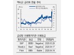 멕시코 금리 4.5%까지 인하할 듯..페소화 약세 진정되는 가운데 멕시코 채권 매력적 - NH證