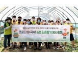 농협강화군지부·대한적십자사 행복플러스 봉사회, 농촌지역 일손돕기